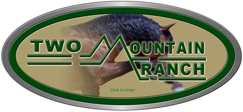 entry logo